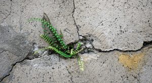 L’instant présent : et si la vie c’était ici et maintenant ?